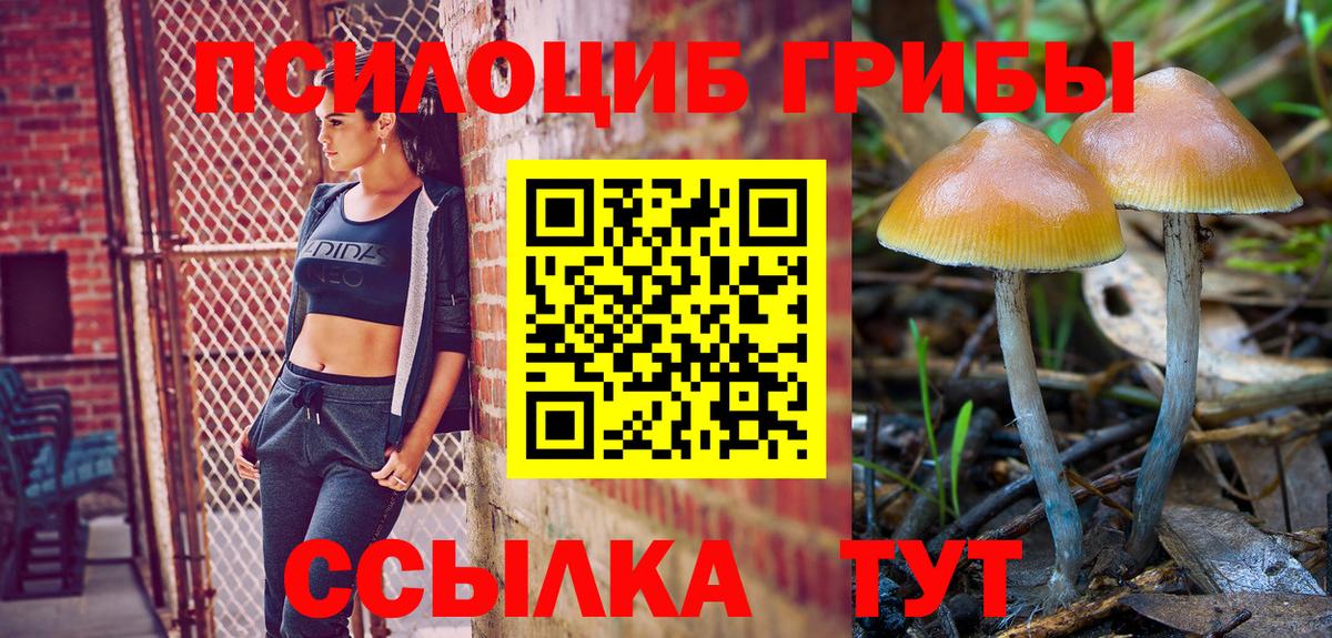 Кашира  Галлюциногенные грибы Psilocybe  цены   Вход с VPN 
